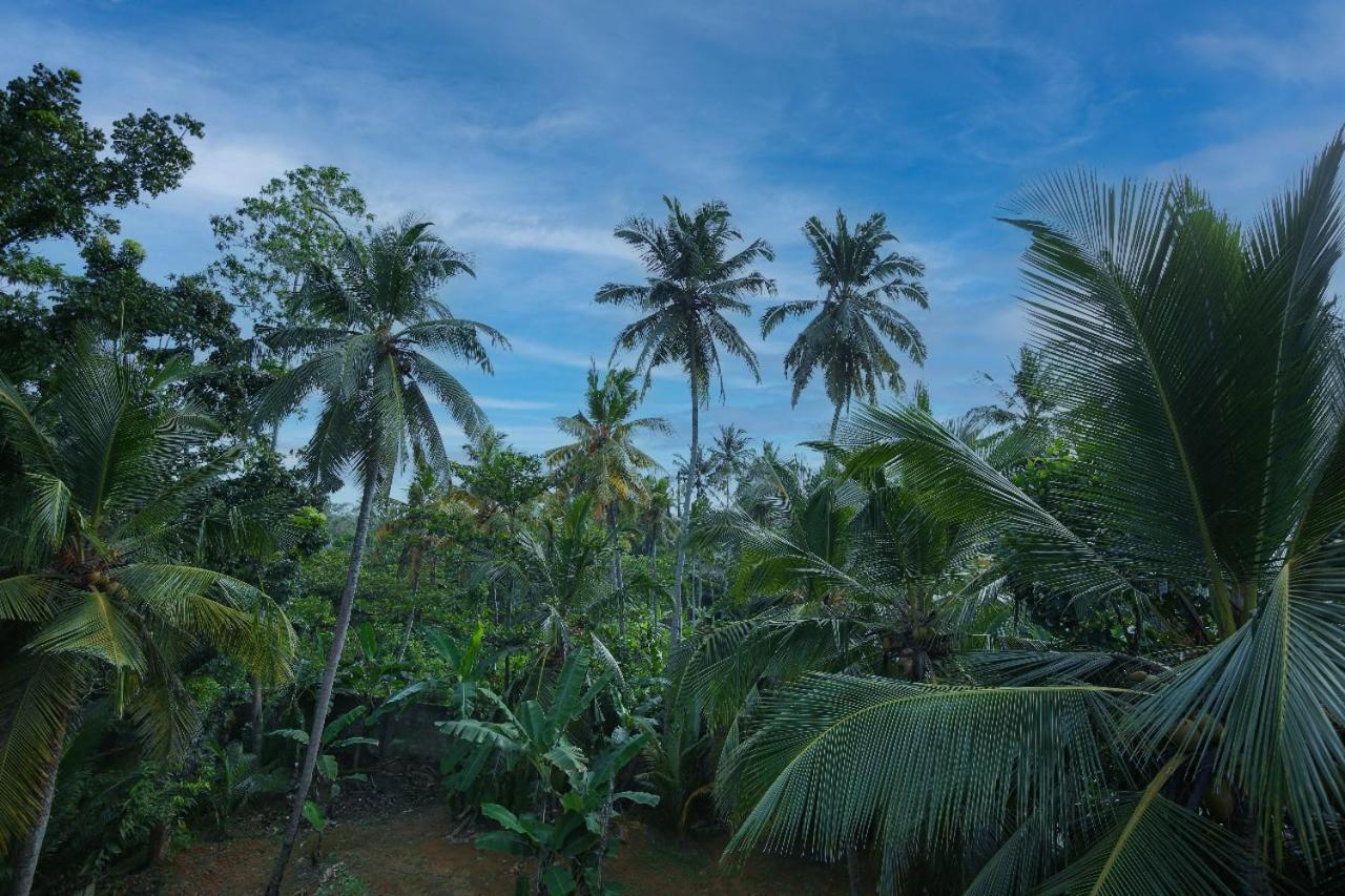 Homejay Residancies Unawatuna Exterior foto